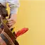 Handyman repair service in Wichita, KS for home fixes and improvements
